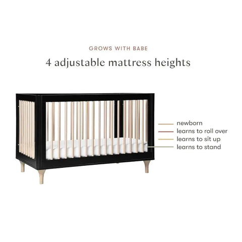 Babyletto Lolly 3-in-1 Convertible Crib with Toddler Bed Conversion Kit in Black and Washed Natural, Greenguard Gold Certified