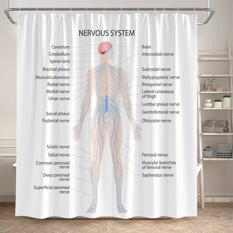 Periodic Table Shower Curtain Modern Fun Chemistry Elements For Students Home Decor Polyester Fabric Bathroom Curtain With Hooks