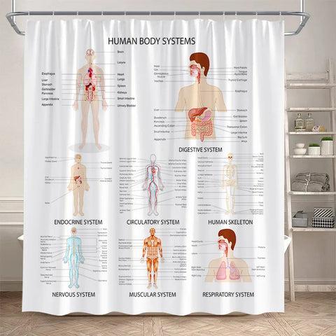 Periodic Table Shower Curtain Modern Fun Chemistry Elements For Students Home Decor Polyester Fabric Bathroom Curtain With Hooks