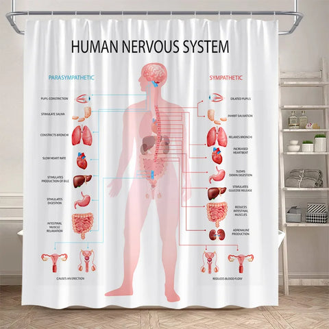 Periodic Table Shower Curtain Modern Fun Chemistry Elements For Students Home Decor Polyester Fabric Bathroom Curtain With Hooks