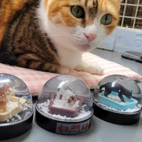 Kawaii Capsule Toys KITAN WaterDomeFactory Cute Cat Litter Snow Globe Tiger Calico Kitten Anime Miniature Decor Gashapon Figures