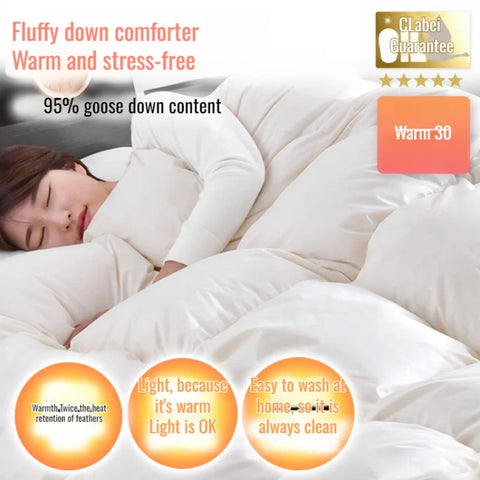 Thickened 95% White Goose Down quilt Comfortable and Breathable Duvet Ideal Gift for Students Winter cotton thick quilt core